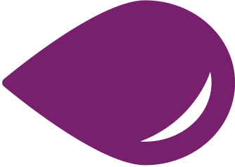 PurpleSystemLogo-v001